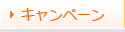 キャンペーン
